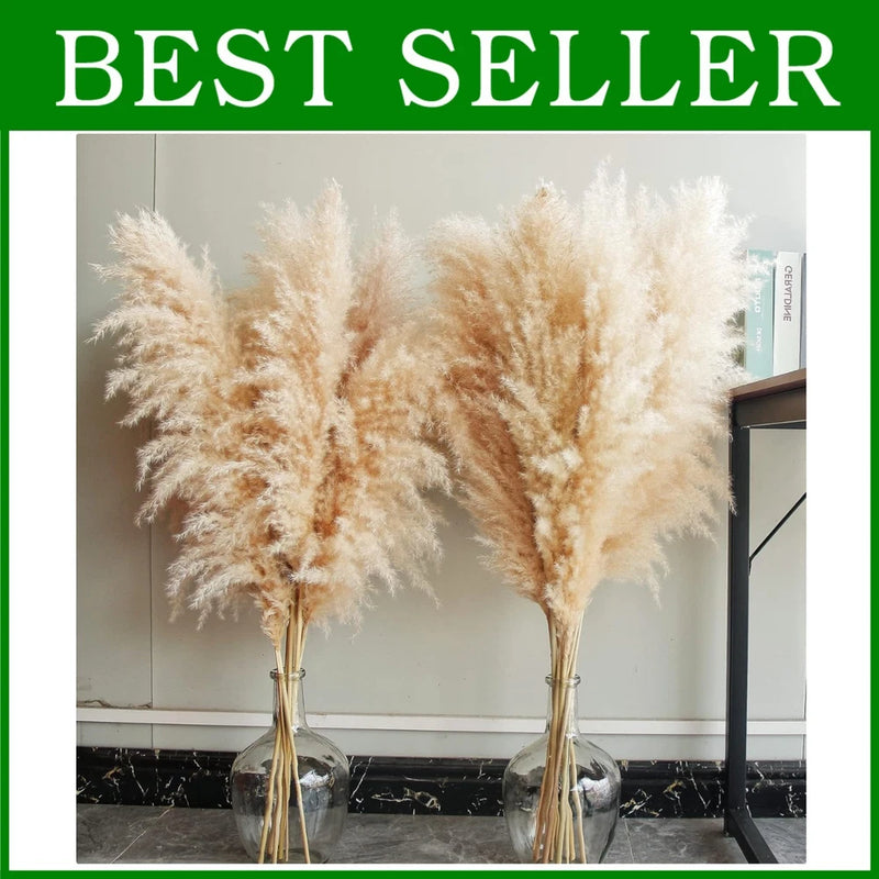 Special Gift - 10 Stems Natural Pampas Grass Pampas Grass