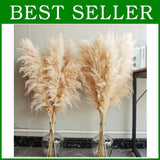 Special Gift - 10 Stems Natural Pampas Grass Pampas Grass