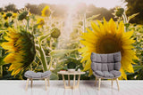3D Landscape Sun Flower Floral Self-adhesive Removable Wallpaper Murals Wall Sunflower