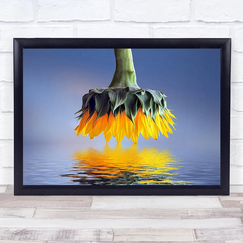 Horizontal wall art print of a hanging sunflower with green stem and orange petals