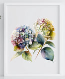 Floral Art Print, Hydrangea Floral Wall Art Print, Botanical Wall Art Decor #17 Hydrangea