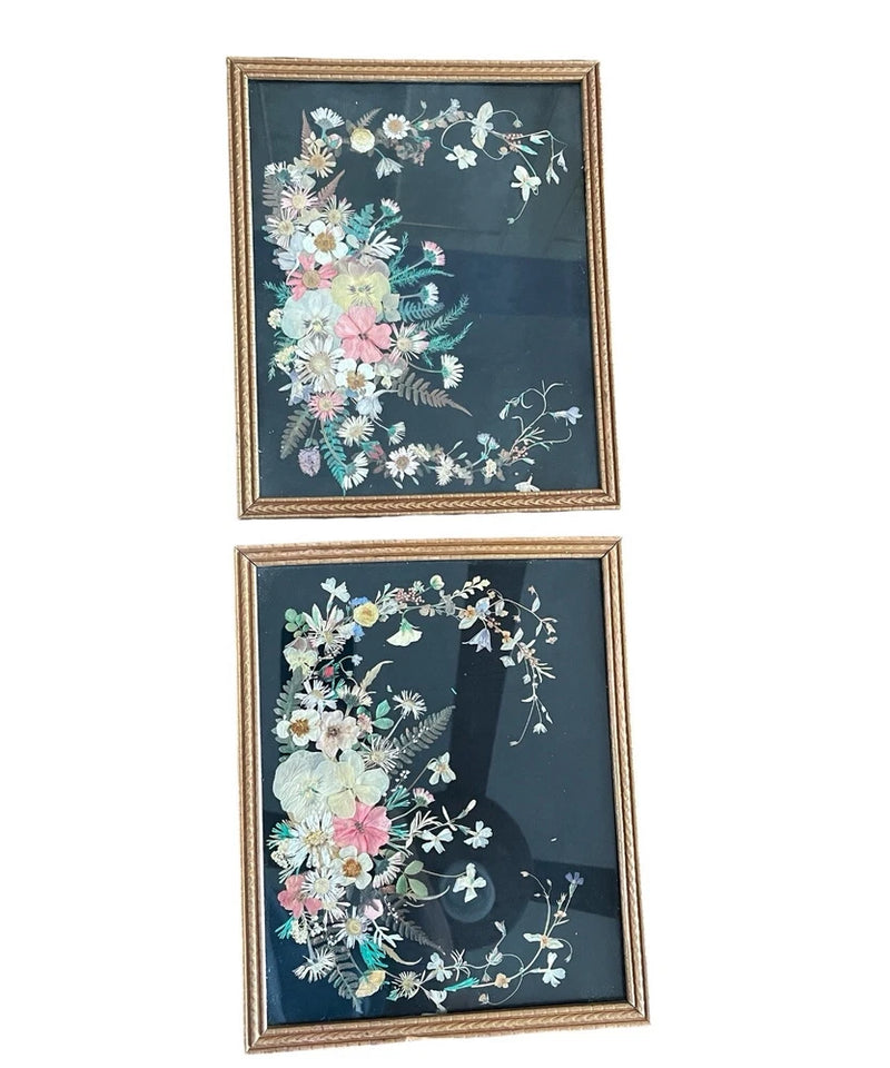 TWO Vintage Dried Flower Pictures Pressed Herbarium Decor Black Background Dried Flower