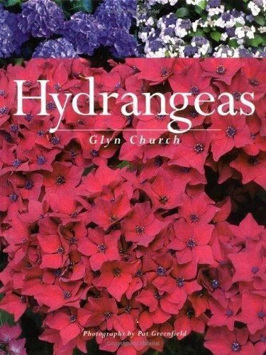 Hydrangeas by Glyn Church (2001, Trade Paperback) Hydrangea