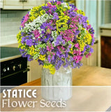 Statice Seeds - 85 Seeds - Serenade Mix - Flower Seed Flowers Garden Non GMO Garden Plants