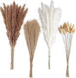 100-Pack Small Boho Pampas Grass 17" Dried Decor Pampas Grass
