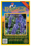 1 Oz Blue Sage Wildflower Seeds - Everwilde Farms Mylar Seed Packet Garden Plants