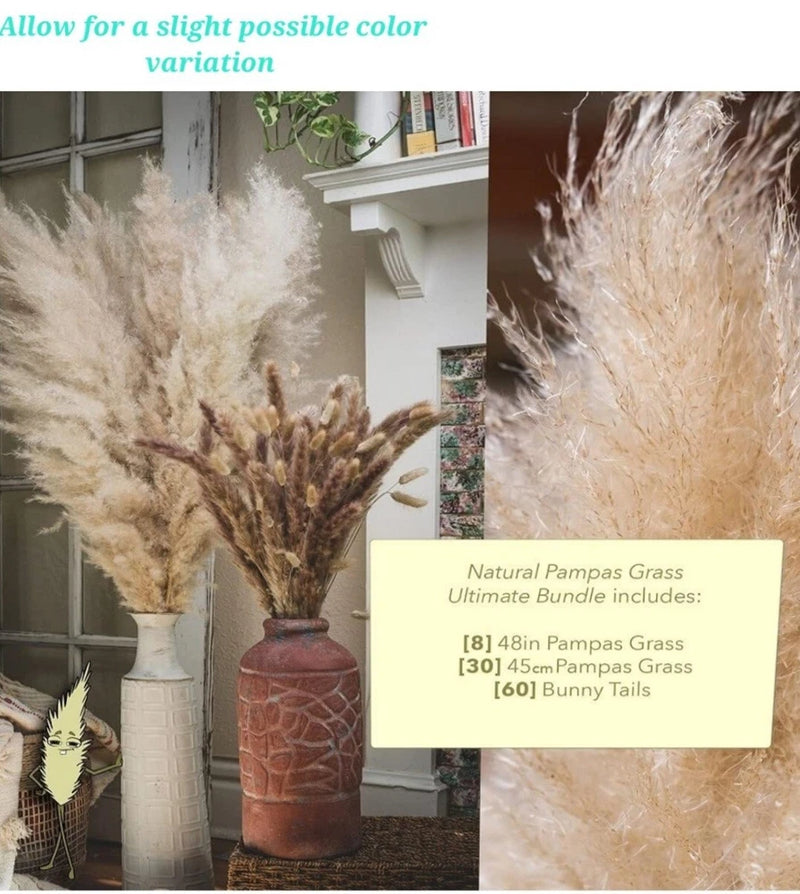 Big Fluffy Natural Dried Pampas Grass 98 Pc Bundle Luxury Bouquet Gift Set NEW Pampas Grass