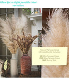 Big Fluffy Natural Dried Pampas Grass 98 Pc Bundle Luxury Bouquet Gift Set NEW Pampas Grass
