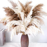 40 PCS Tall Pampas Grass for Floor Vase Ð 17" Natural Fluffy Dried Pampas Grass Pampas Grass