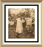 Original 1901 Antique Pre-Raphaelite JOHN SARGENT Print CARNATION LILY LILY ROSE Carnation