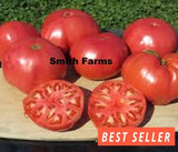 50+ Seeds Big Zac Tomato Hybrid Juicy Easy to Grow Vegetable Garden Garden Plants