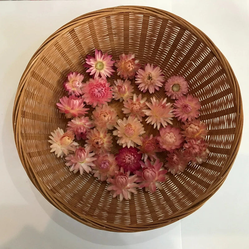 Assorted pink dried strawflower heads in a round woven basket