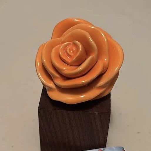 Nora Fleming Retired Orange Ranunculus Flower ÒOrange You HappyÓ A131 Mini New Ranunculus