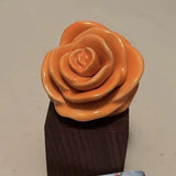 Nora Fleming Retired Orange Ranunculus Flower ÒOrange You HappyÓ A131 Mini New Ranunculus