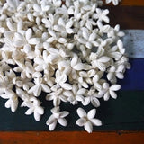 60 Orange Jassamine Moke Artificial Sola Wood Flower Diffuser Flowers 3 cm Dia. Carnation