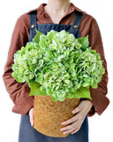 4PCS Real Touch Faux Hydrangea Flowers, 21" Green Latex Silk Flowers for Deco... Hydrangea