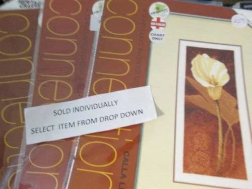 Cross stitch chart with carnation flower pattern, shown on card packaging