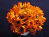 Vtg Millinery Flower Collection Orange Yellow Ranunculus 1