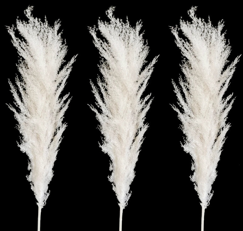 Real Pure White Dried Natural Pampas Grass Reed and Jumbo Reed Pampas Grass