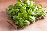 1500 SWEET BASIL Ocimum Basilicum Herb White Flower Seeds *Flat S/H Flowering Plants