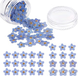 Natural Forget-Me-Not Dried Flowers Don'T Forget Me Dried Real Pressed Flowers f Dried Flower