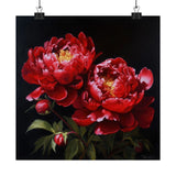 Red Peonies Flower Art Print, Red Flower Painting, Flower DŽcor 19 Peony