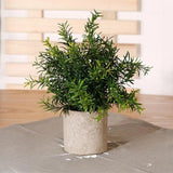 Mini Fake Potted Plant Housewarming Gift Faux Plant for Office Garden Patio Green Plant