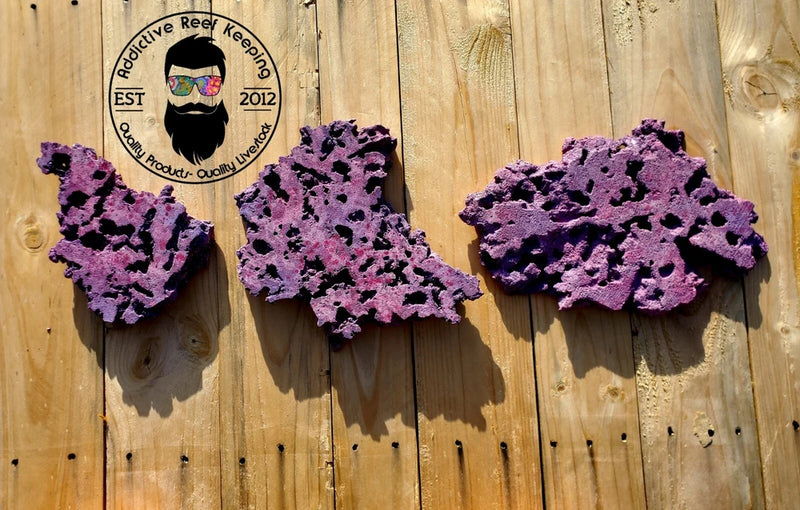 35lbs. Sm,Med,Lg Purple Dry Shelf Rock Lightweight, Porous, Aquarium Live Anemone