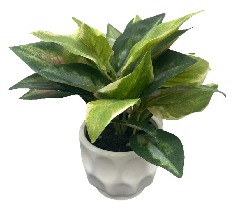 Artificial potted Hoya plant with green leaves in a white pot