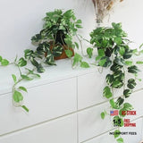 Fake Pothos Hanging Plants - 33" Set of 2 Artificial Silk Ivy Golden Green Green Plant