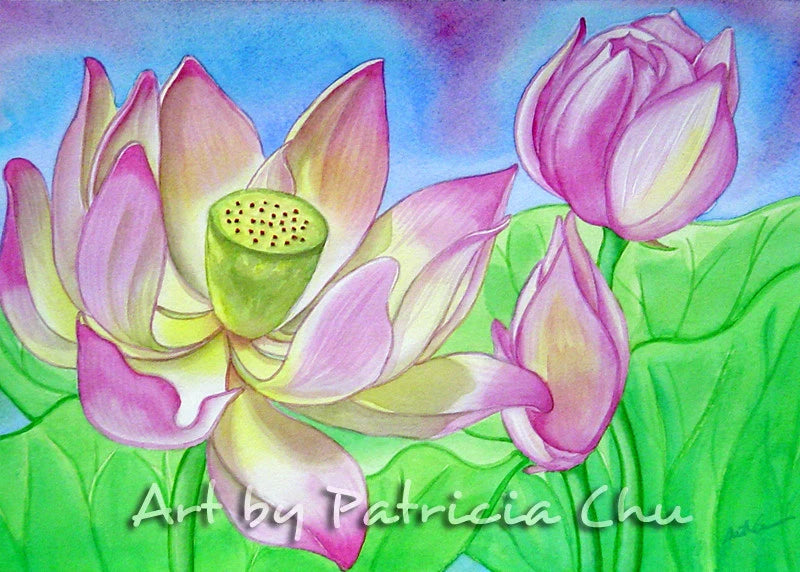 Water lilies floral art card print with pastel lotus flowers on green leaves