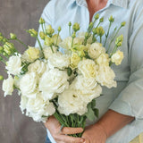 LIVE PLANT Lisianthus Voyage 2 White Eustoma grandiflorum 4 Plugs ready to plant Flowering Plants