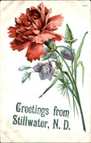Stillwater North Dakota Embossed Flowers Carnation c1900-20s Vintage Postcard Carnation