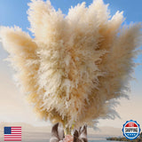 Pasuvsigt 40" 36 Stems Natural Pampas Grass Decor Tall Boho Home Decor Pampas Grass