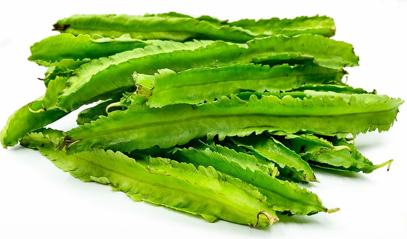 10 Winged Bean Seeds | Dragon Goa Asparagus Sigarilyas Chathura Payar __u R_ng Flowering Plants