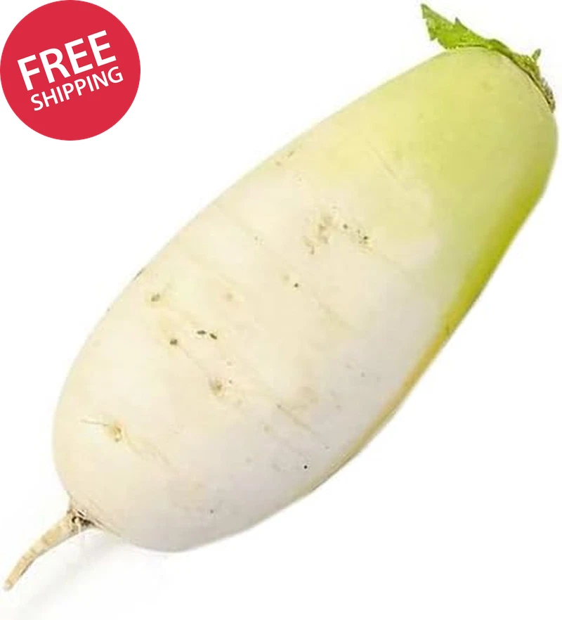 Korean Radish Seeds 75 Seeds Spring Fall Winter Garden Planting Non-GMO Heirloom Garden Plants