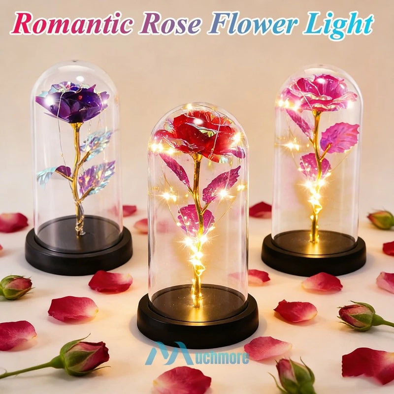 Galaxy Eternal Rose In Glass Dome LED Light Forever Flower Valentine's Day Gift Roses