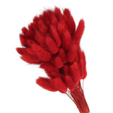 15.7in Bunny Tails Dried Flowers, 120pcs Pampas Grass Decor Rabbit Tail, Red Dried Flower