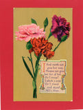 Carnation Flower/Floral Antique Greeting Postcard Carnation