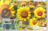 3D Yellow Sunflower Flower Wall Murals Wallpaper Murals Wall Sticker 127 Sunflower
