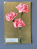 The World Is Filled With Flowers Pink Carnations Litho Postcard A2024082731 Carnation