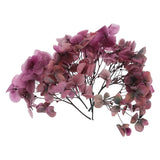 10g Mini Dried Hydrangea Flower Natural Pressed Flower Gradient Pink Gray Dried Flower