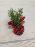 New! Mini Tartan Plaid Greenery Plant Tree Fake Christmas Winter Decor Filler Green Plant