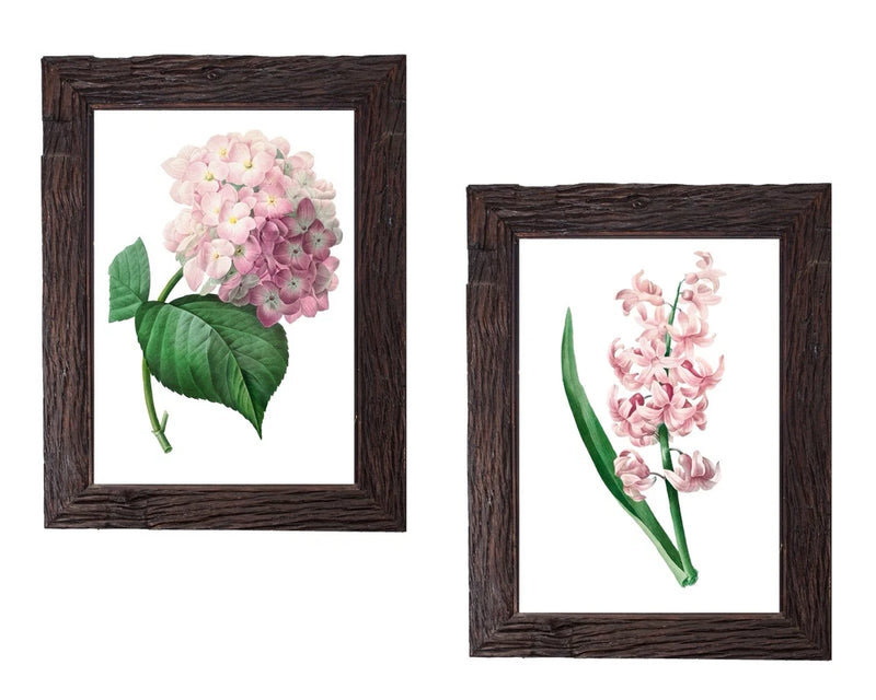 Vintage Botanical Art Print Set Floral Art Prints 5x7 Pink Flowers Home Decor Hydrangea