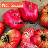 50+ Seeds Brobdingnagian Tomato Vegetable Garden Planting Tomatoes Garden Plants