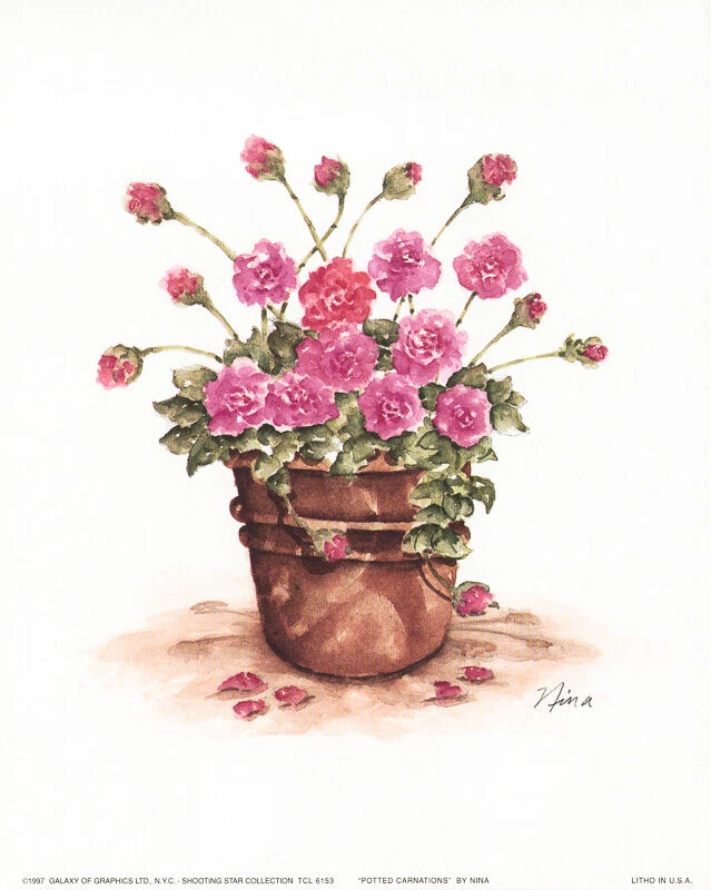 Nina Prints, Geranium Floral Planter Potted Carnations Set of 3 8x10 Carnation