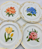 Aynsley Chelsea Gold Set Of 4 New 8Ó Floral Plates Lily Tulip Hydrangea Azalea Hydrangea