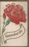 Flowers Red Carnation with "Remember Me" Scroll Antique Vintage Postcard Carnation