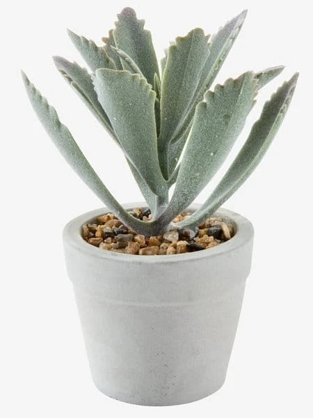 Artificial Panda Plant in Pot Green Plant