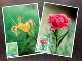 *FREE SHIP Taiwan Mother's Day 1985 Flower Flora Plant Carnation (maxicard) Rare Carnation